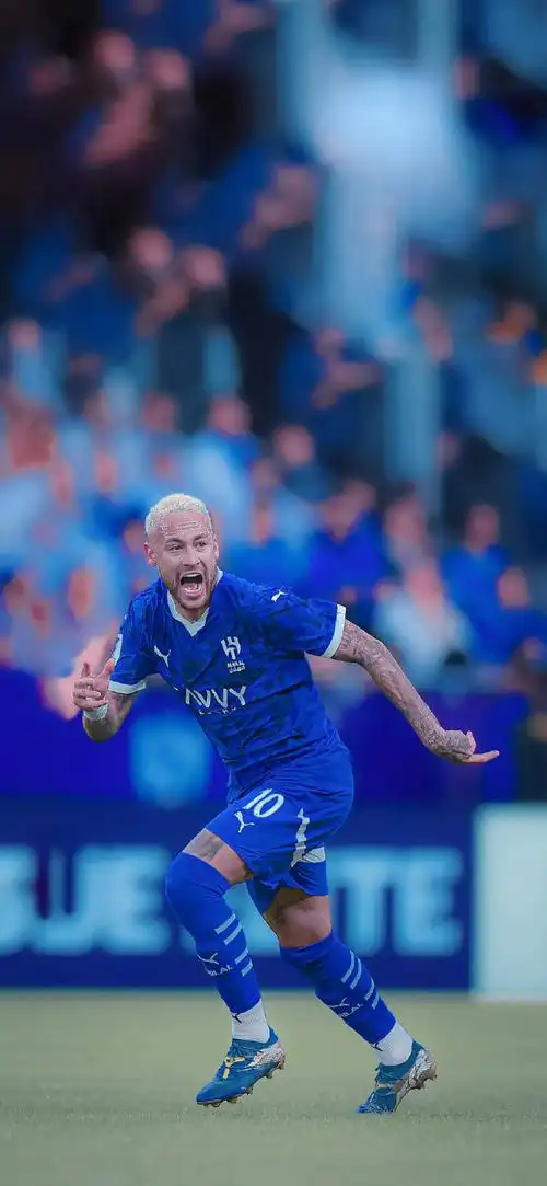 的整体实力 的整体实力