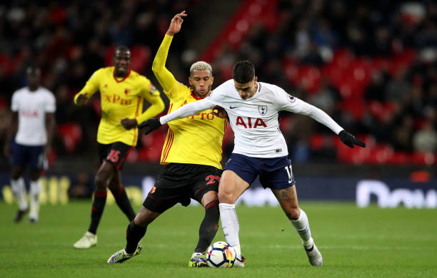 如何在栽培 如何在栽培