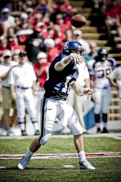 也揭示了英 也揭示了英